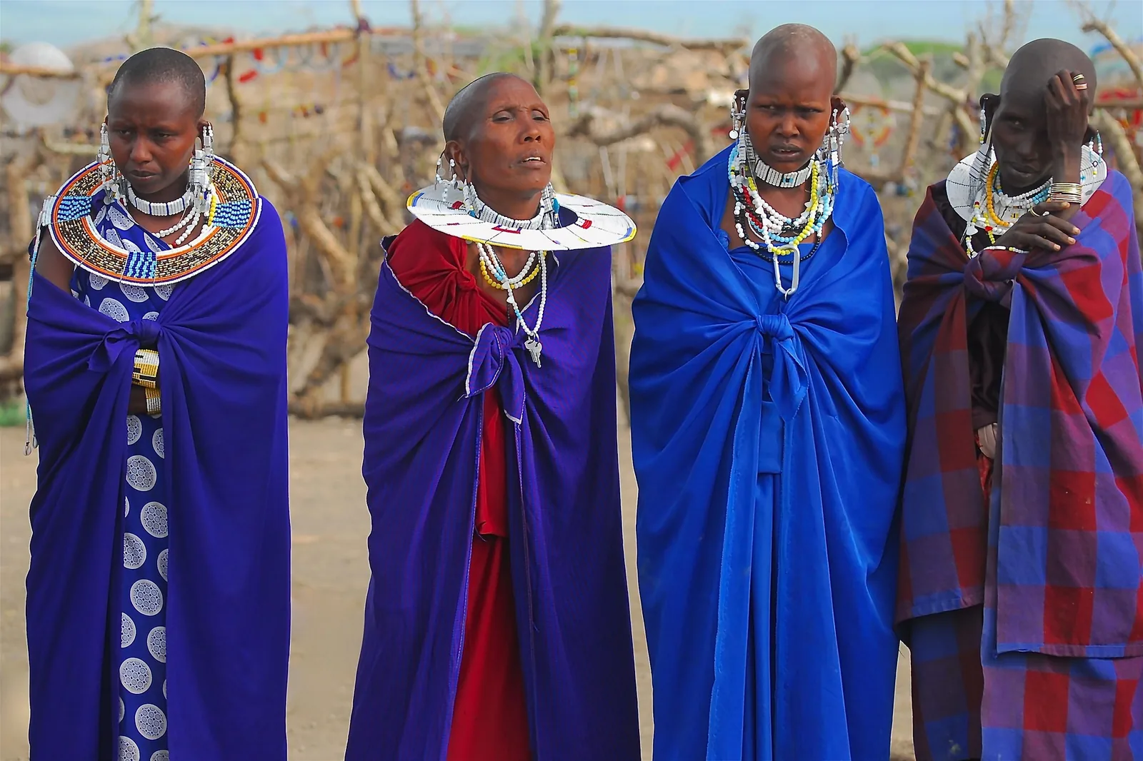 12-Day Spectacular Tanzania Big Cats, Big five animals & Cultural experience Tour Safari Tanzania safari