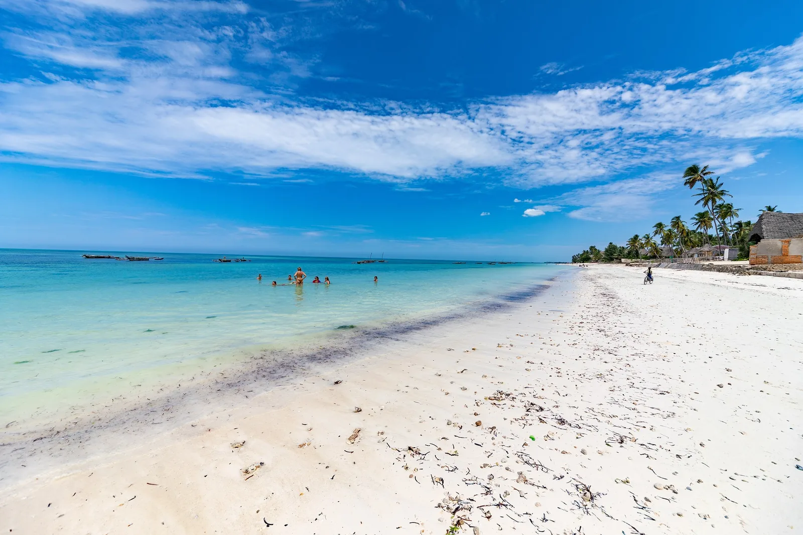 13-Day Zanzibar Beach + Great Migration Tanzania Safari Tanzania safari