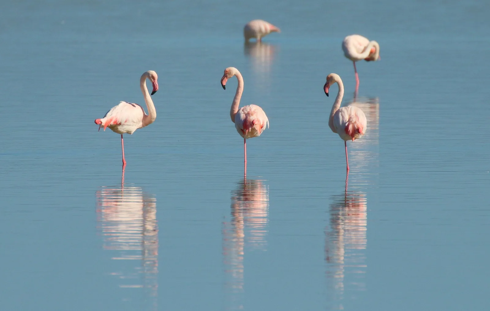 2-Day Fly-in & Fly-Out Ngorongoro Crater Safari