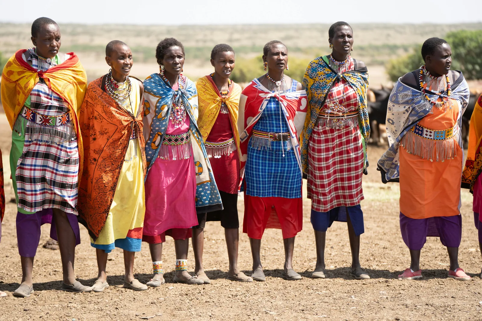 4-Day Tarangire, Ngorongoro, Lake Eyasi & Manyara Tour Safari