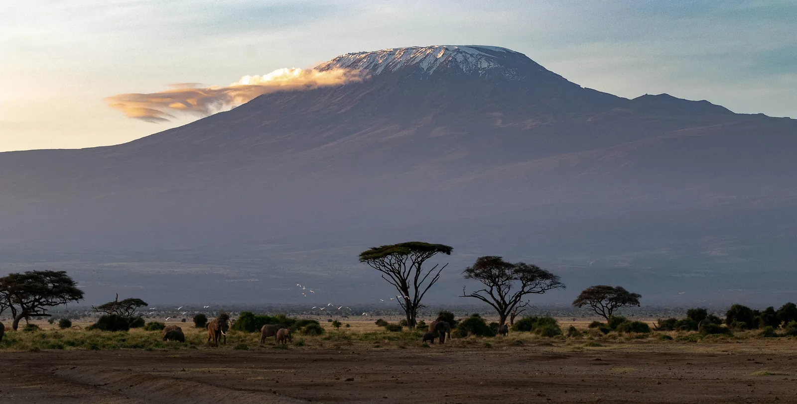 8-Day Kilimanjaro Trek: Machame Route
